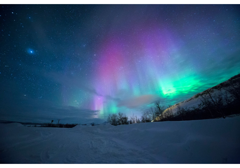 Duyuru 1 DESCRİPTİON, Duyuru 1 DESCRİPTİON, Duyuru 1 DESCRİPTİON, Duyuru 1 DESCRİPTİON, Duyuru 1 DESCRİPTİON, Duyuru 1 DESCRİPTİON, Duyuru 1 DESCRİPTİON, 